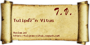 Tulipán Vitus névjegykártya